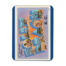 Search for follies magnets Ocean