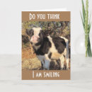 Search for funny farmer birthday cards Co worker