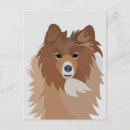 Search for shetland sheepdog postcards Dog lover
