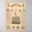 Search for caged art Cages