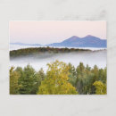 Search for foliage mist postcards Usa