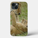 Search for lion predator electronics Africa