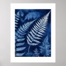Search for blue ferns posters Plants