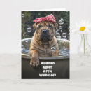 Search for shar pei dog birthday cards Wrinkles