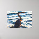 Search for heron canvas prints Nature