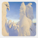 Search for whitefish stickers Winter