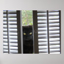 Search for peek posters Kitty