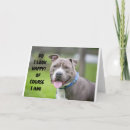 Search for pit photography Veterinarian