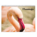 Search for migrate office supplies Nature