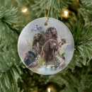 Search for boykin spaniel christmas tree decorations Swamp poodle