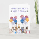 Search for abyssinian cat cards Animals