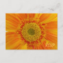 Search for rspv rsvp cards Floral