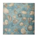 Search for seashell tiles Ocean