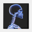 Search for human head magnets Body