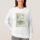 Search for botanical other Robinet