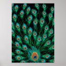 Search for peacock feather painting posters Black