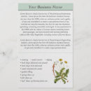 Search for illustrated flyers Customer