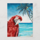 Search for macaws vertical postcards Watercolor