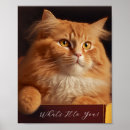 Search for box cat posters Pet