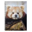 Search for red panda notebooks China