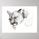 Search for white mountains posters Drawing