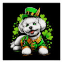 Search for clover leaf posters St patricks day