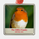 Search for traditional christmas tree decorations Bird