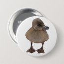 Search for fowl round badges Cute