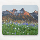 Search for range mouse mats Tree