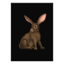 Search for brown hare posters Bunny