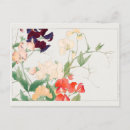 Search for sweet peas postcards Plants