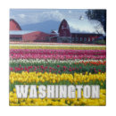 Search for washington state tiles Nature
