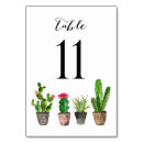 Search for 11 table cards Script