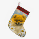 Search for pomeranians christmas stockings Puppy