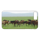Search for grasslands cases Nature