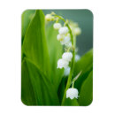 Search for lily of the valley gifts Blossom