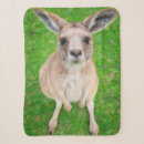 Search for kangaroo blankets Photography