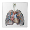 Search for nursing tiles Heart