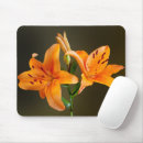 Search for budding mouse mats Nature