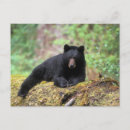 Search for omnivorous postcards Park