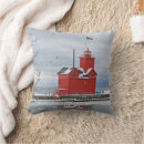 Search for big bird cushions Wildlife