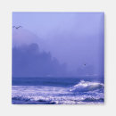 Search for saltwater magnets Wild
