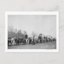 Search for whipped postcards Woman