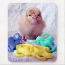 Search for announce mouse mats Bird