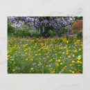 Search for sunny landscape postcards Countryside