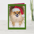 Search for bad santa cards Pomeranian