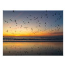 Search for pelican art California