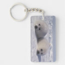 Search for pups key rings Marine life