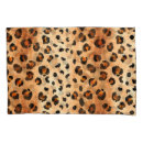 Search for exotic pillowcases Background