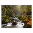 Search for czech photography River